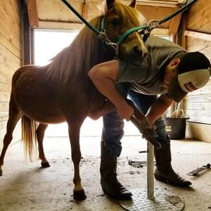 Meet your Posher, Seth